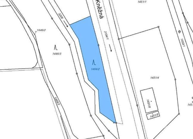 Prodej lesa, Rychnov nad Kněžnou, 3801 m2