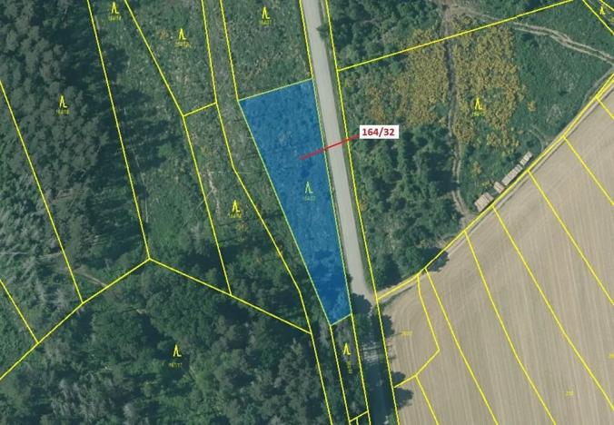 Dražba lesa, Budíškovice, 1817 m2