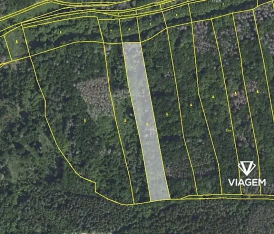 Prodej podílu lesa, Drahelčice, 3372 m2