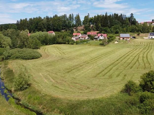 Dražba louky, Sobíňov, 7578 m2