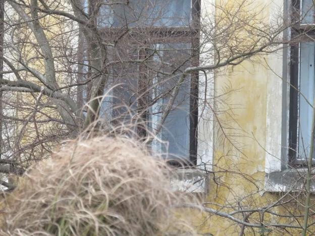 Dražba rodinného domu, Horní Podluží, 10 m2