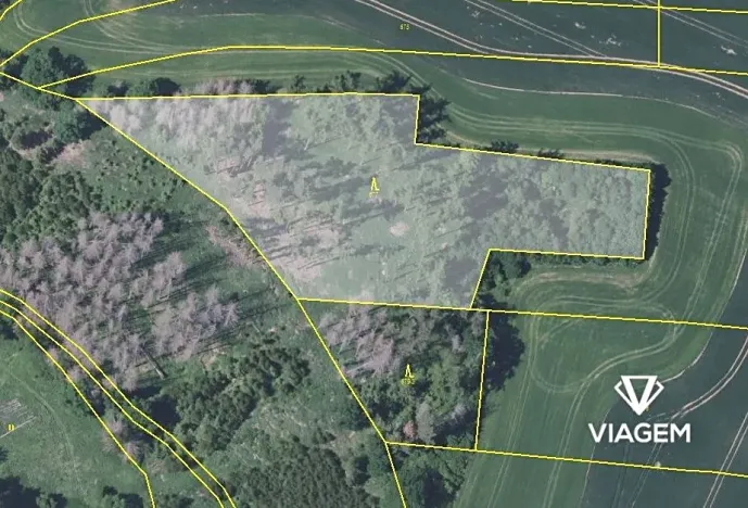 Prodej podílu lesa, Trhový Štěpánov, 6300 m2