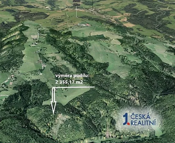 Prodej podílu lesa, Cotkytle, 2355 m2