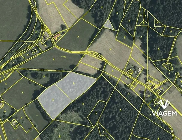 Prodej podílu lesa, Cotkytle, 1746 m2