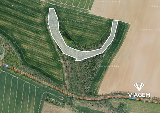 Prodej podílu lesa, Mělnické Vtelno, 8584 m2