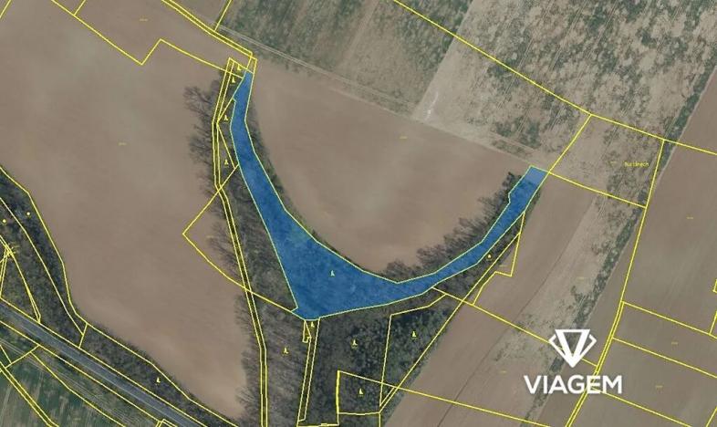 Prodej podílu lesa, Mělnické Vtelno, 8584 m2