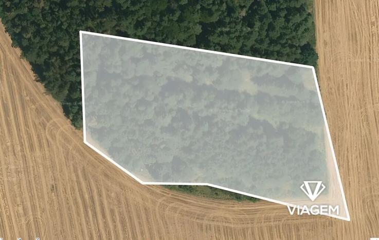 Prodej podílu lesa, Seloutky, 1150 m2