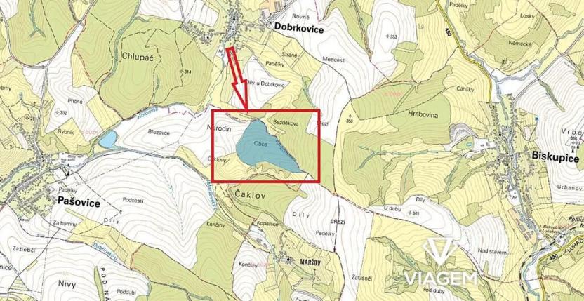 Prodej podílu lesa, Pašovice, 27921 m2