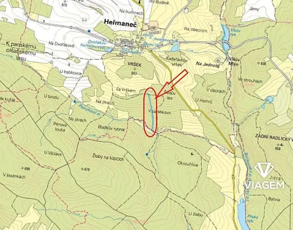 Prodej lesa, Heřmaneč, 7206 m2