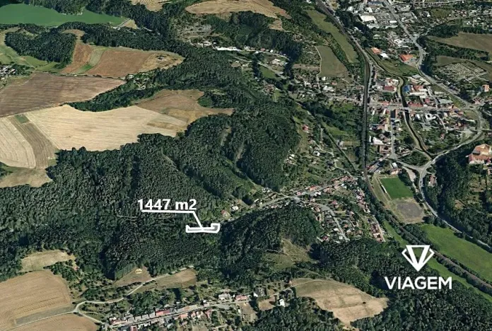 Prodej lesa, Letovice, 1447 m2