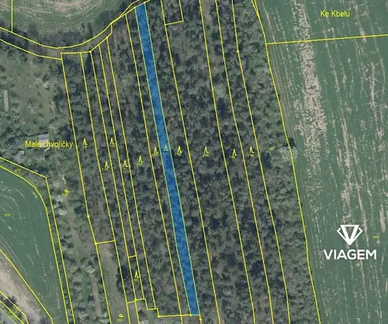 Prodej podílu lesa, Koloveč, 427 m2