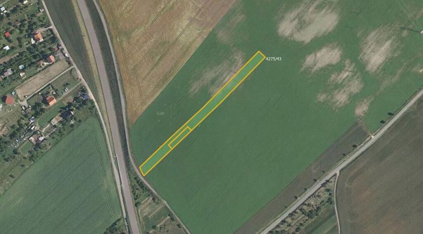 Prodej pole, Kuchařovice, 6602 m2