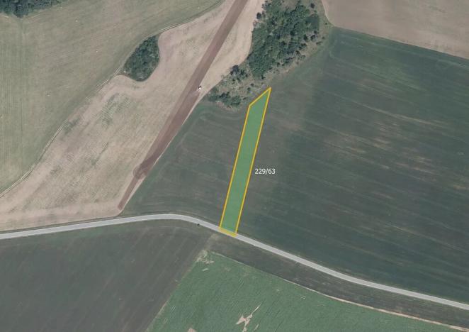 Prodej pole, Biskupice-Pulkov, 11664 m2