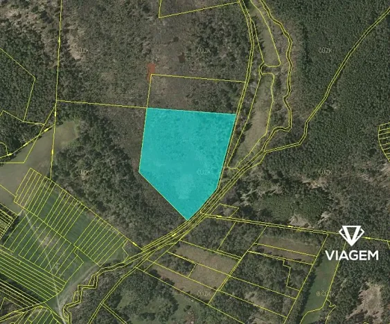 Prodej podílu lesa, Veselí nad Lužnicí, 20552 m2