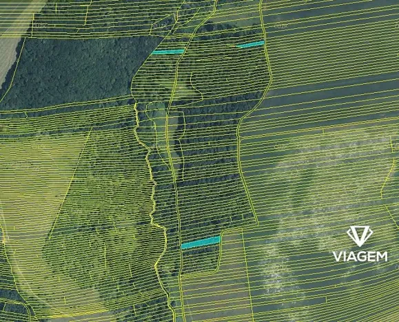 Prodej podílu lesa, Hradčovice, 985 m2