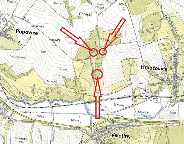 Prodej podílu lesa, Hradčovice, 985 m2