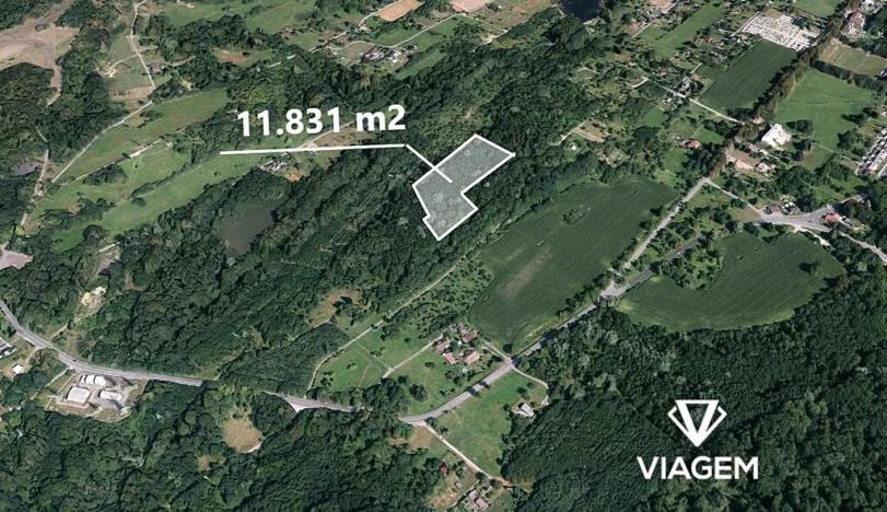 Prodej podílu lesa, Doubrava, 8873 m2