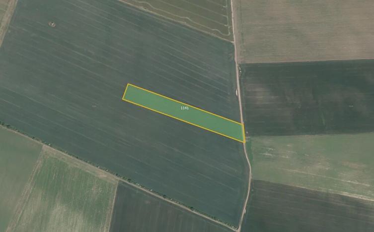 Prodej pole, Nový Šaldorf-Sedlešovice, 16200 m2