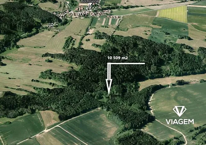 Prodej lesa, Bochovice, 10509 m2