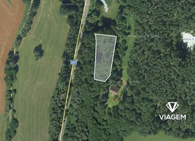 Prodej podílu lesa, Dolní Město, 388 m2