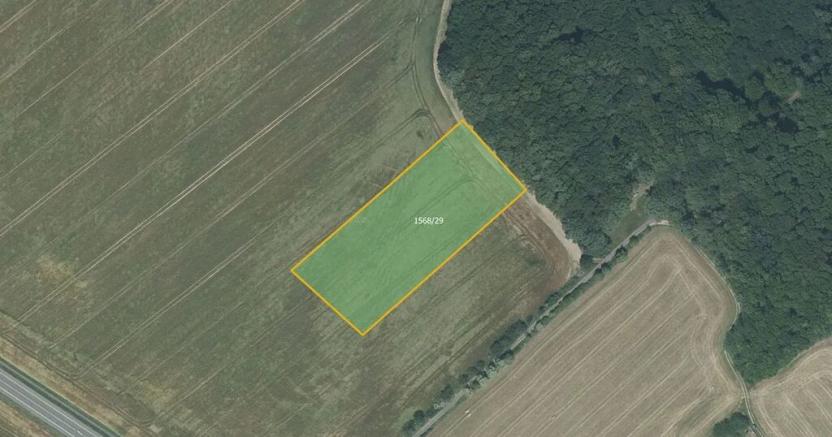 Prodej pole, Hrabyně, 7289 m2