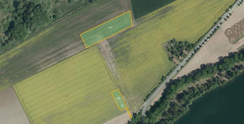 Prodej pole, Staré Ždánice, 5797 m2