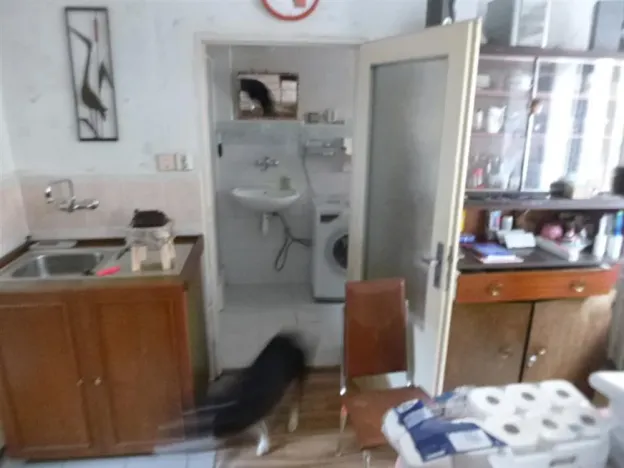 Dražba rodinného domu, Petrohrad, 362 m2