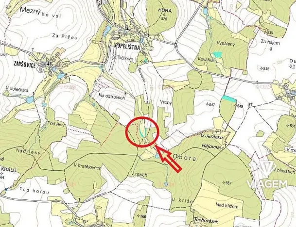 Prodej lesa, Červená Řečice, 1252 m2