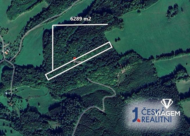 Prodej podílu lesa, Lužná, 1572 m2