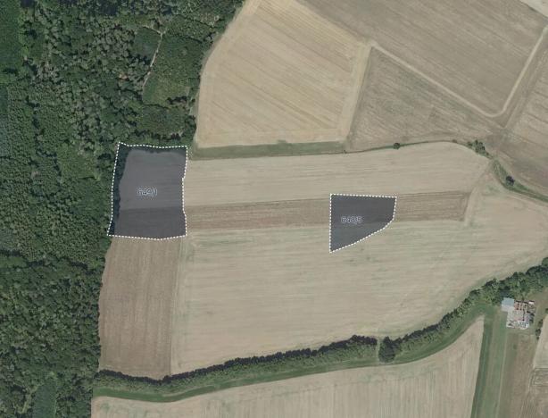 Prodej pole, Masojedy, 21338 m2