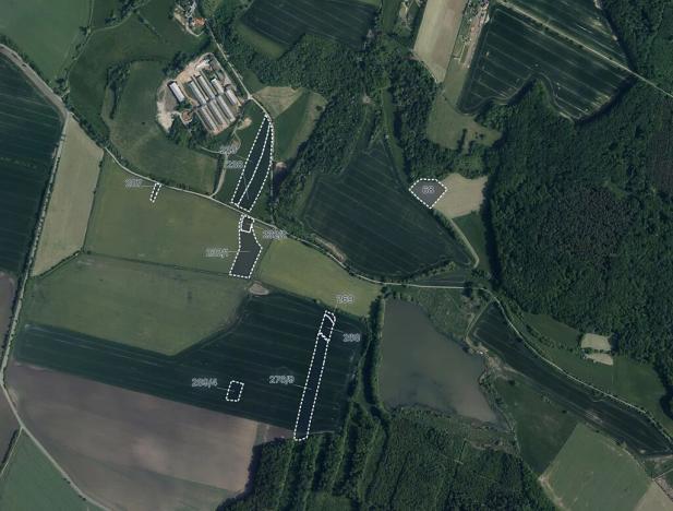 Prodej pole, Kobylnice, 45226 m2