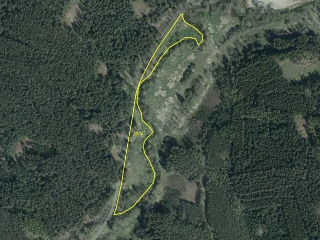 Dražba louky, Kladruby, 42411 m2