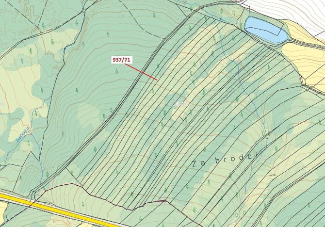 Dražba lesa, Netřebice, 6768 m2