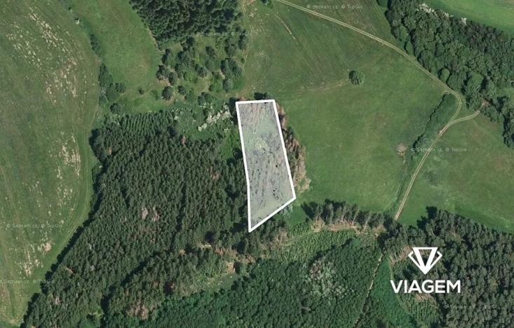 Prodej podílu lesa, Radošovice, 1094 m2