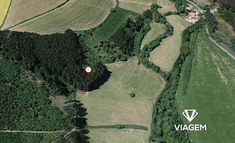 Prodej podílu lesa, Radošovice, 1094 m2