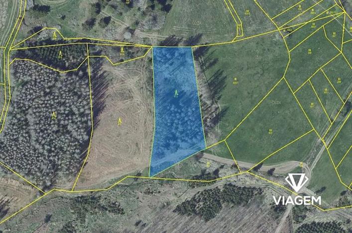 Prodej podílu lesa, Radošovice, 1094 m2