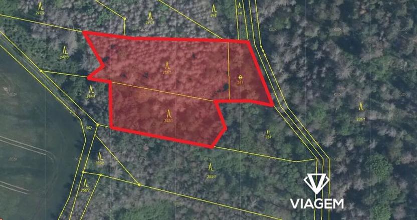 Prodej lesa, Slavičky, 3650 m2