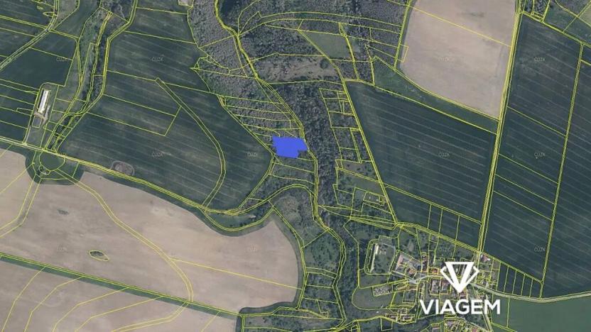 Prodej lesa, Slavičky, 3650 m2