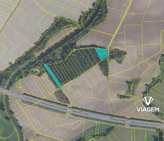 Prodej podílu lesa, Olešnice, 604 m2