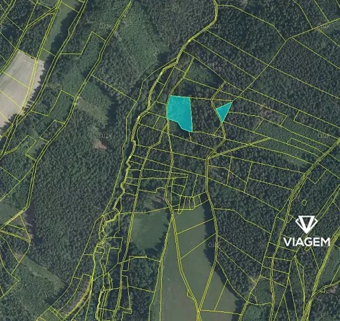 Prodej podílu lesa, Roztoky u Semil, 2737 m2