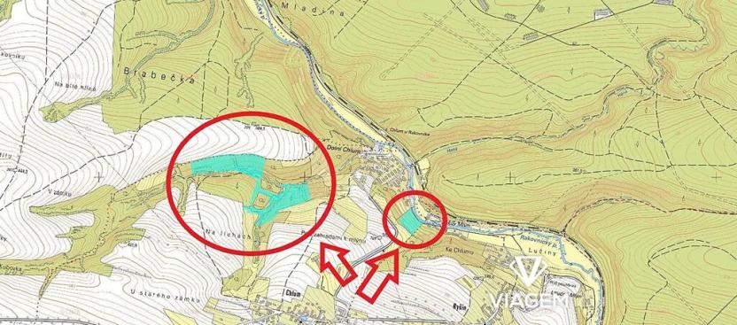 Prodej podílu lesa, Chlum, 8737 m2