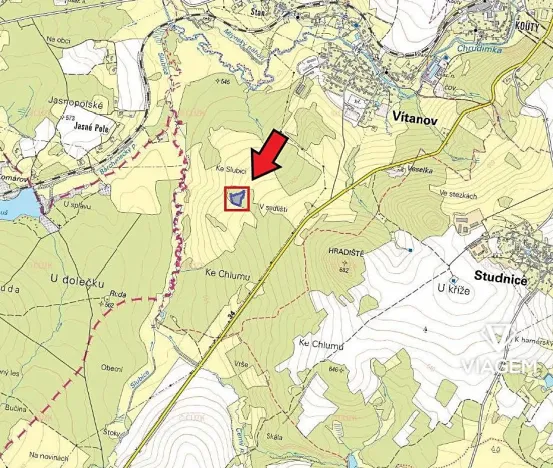 Prodej podílu lesa, Vítanov, 1399 m2