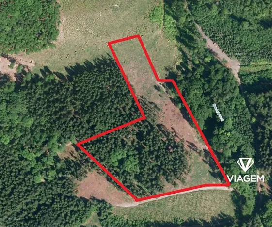 Prodej podílu lesa, Růžďka, 26737 m2