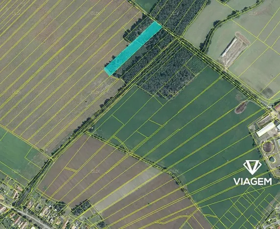 Prodej podílu lesa, Živanice, 3988 m2