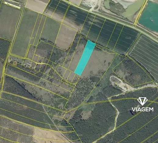 Prodej podílu lesa, Travčice, 1044 m2