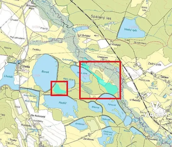 Prodej podílu lesa, Olešnice, 1518 m2