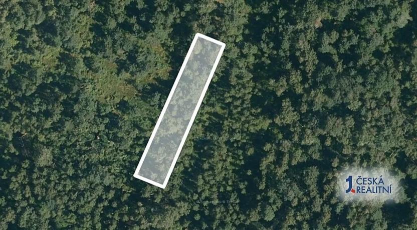 Prodej lesa, Borkovice, 1472 m2