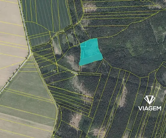 Prodej podílu lesa, Kamenice nad Lipou, 2095 m2