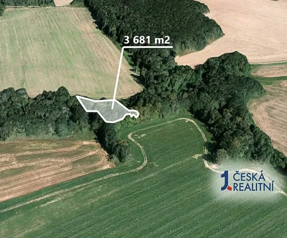 Prodej podílu lesa, Hlinka, 3418 m2