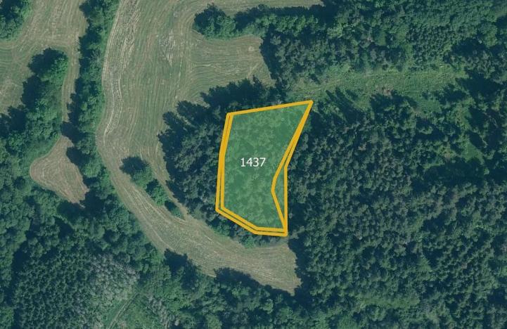 Prodej pole, Strašice, 7677 m2